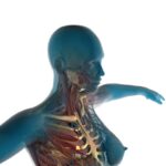 Body candy body jewelry a reflection of personal style