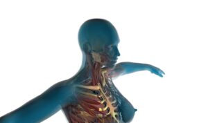 Body candy body jewelry a reflection of personal style Body candy body jewelry a reflection of personal style